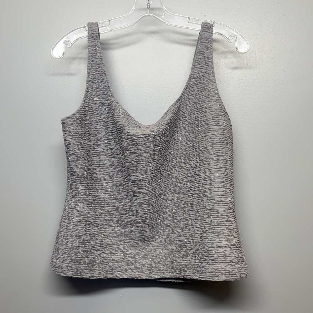 Alex Evenings Light Gray Sparkly Sleeveless Blouse SIZE XL